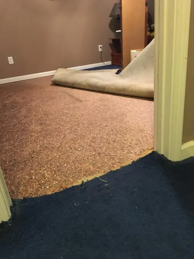 Carpet pad removal revealing water damage during Drying & Dehumidification in Port Townsend
