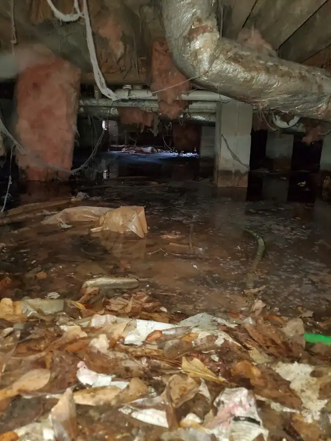 Crawl space flood assessment for Commercial Water Damage Restoration in Port Townsend