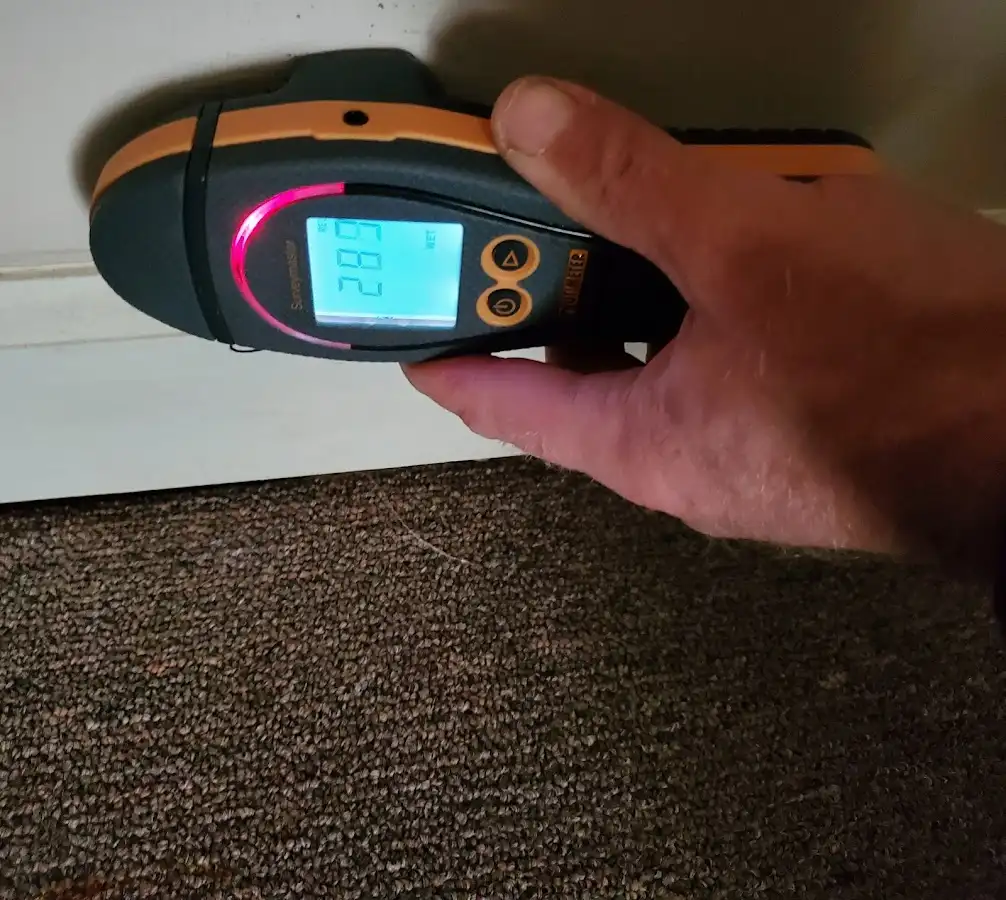 Moisture detection at baseboard during Burst Pipe Cleanup in Port Townsend